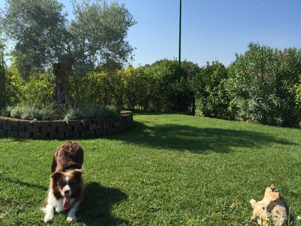 Bed & Breakfast Case Osti Castel Maggiore Exterior foto